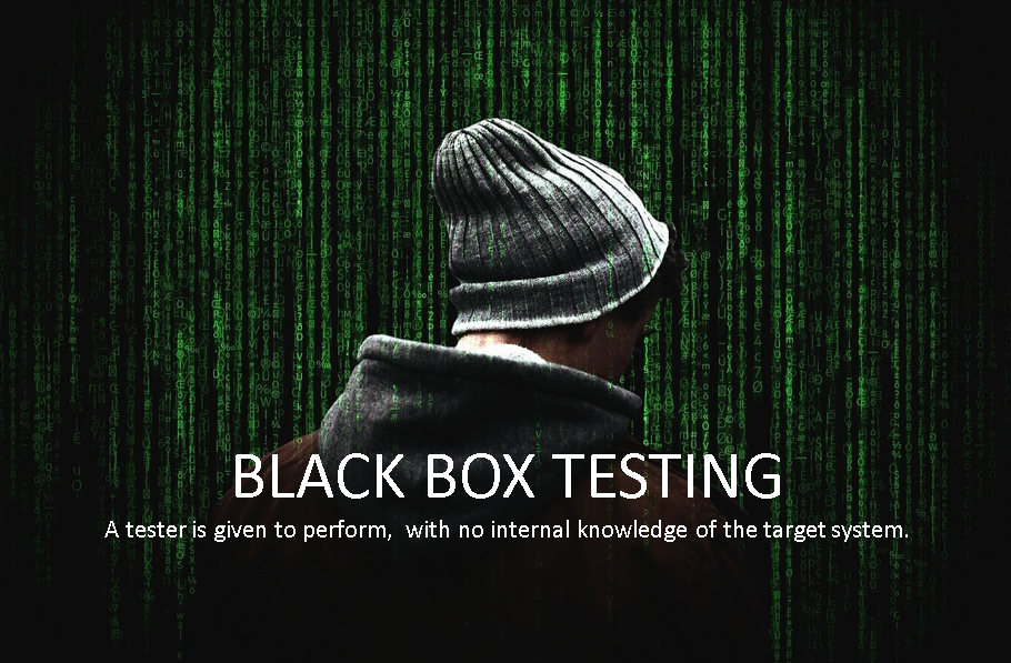 black box penetration testing and it's brief intro