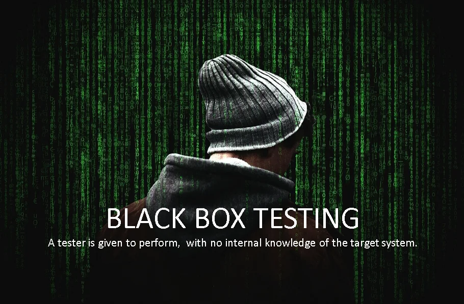 black box penetration testing and it's brief intro