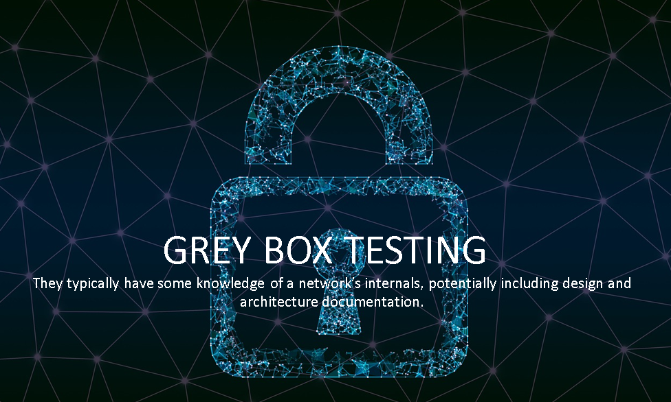 Grey box penetration testing and it's brief intro