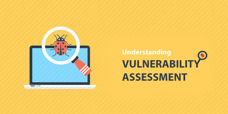 Vulnerability Assessment - Security professional scanning network for vulnerabilities.